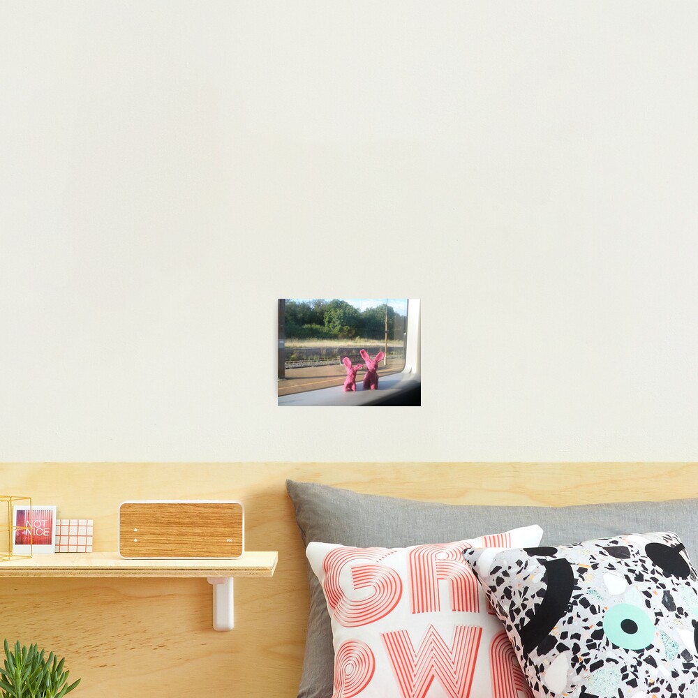 Rabbits on a train Photographic Print
