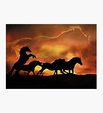 Award winning image "Forever Free" Photographic Print