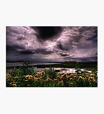 No birds Photographic Print