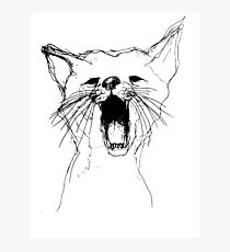 Drawn Cat Photographic Print