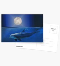 Dolphin and Moon Postcards