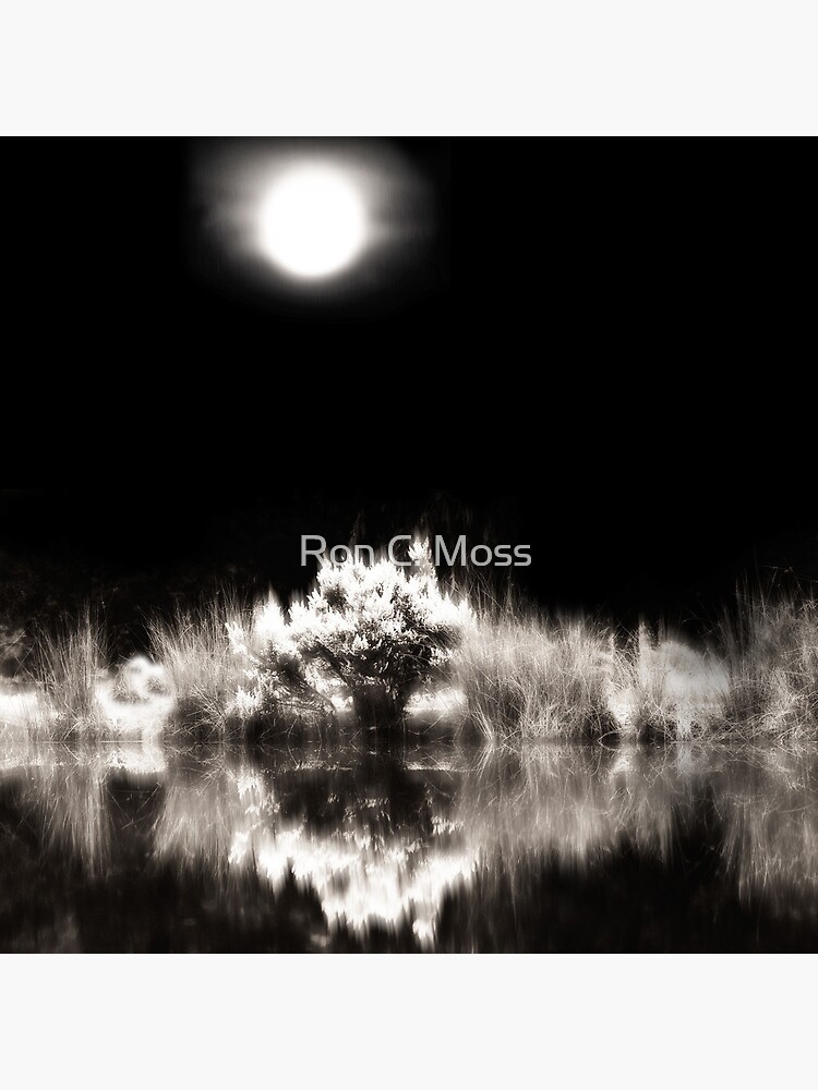 Into The World - Image Only by ronmoss