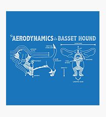 Lámina fotográfica La aerodinámica de un Basset Hound