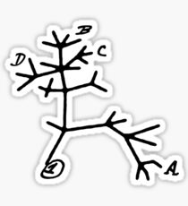 Darwin Tree by Tai's Tees Sticker