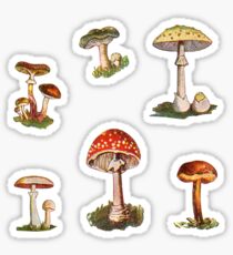 Mushrooms Sticker