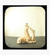 Giraffe Love TTV Photographic Print