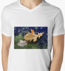 FROZEN in TIME Men's V-Neck T-Shirt