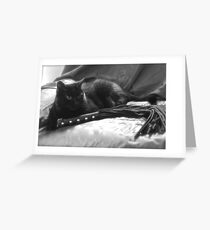 Bad Kitty Greeting Card