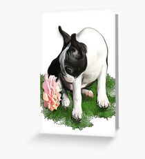 Sweetpea Greeting Card