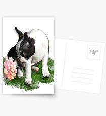 Sweetpea Postcards