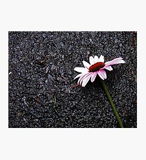 All Alone Fotodruck