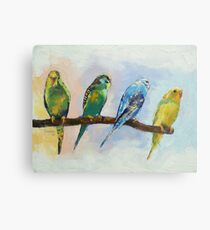 Four Parakeets Metal Print