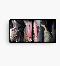 Click Go The Shears - TTV Diptych Canvas Print
