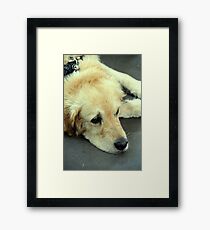 Are we there yet? Framed Print