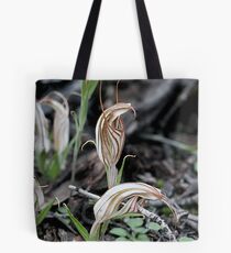 Long-tongued Shell Orchid (Diplodium dolichochilum - formerly Pterostylis dolichochila) Tote Bag