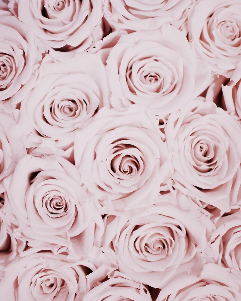 Flowers Print Roses Pink Pastel Fashion Print Scandinavian Art Modern Art Wall Art Print Minimalistic Modern By Juliaemelian Redbubble