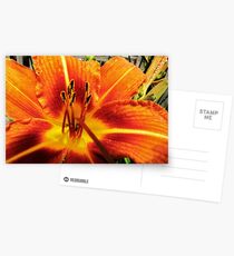 Day Lily For AndreaEL Postcards