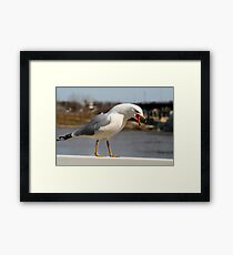Talk..Talk..Talk!! Framed Print
