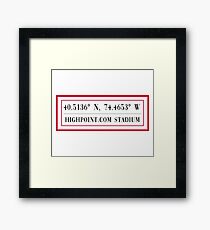 Highpoint.com Stadium Framed Print