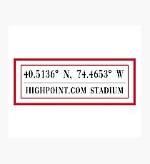 Highpoint.com Stadium Photographic Print