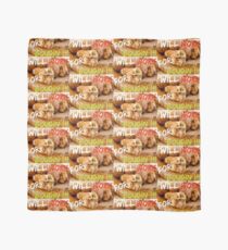 Will Work for Boudin Scarf