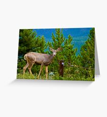 Cautious Greeting Card
