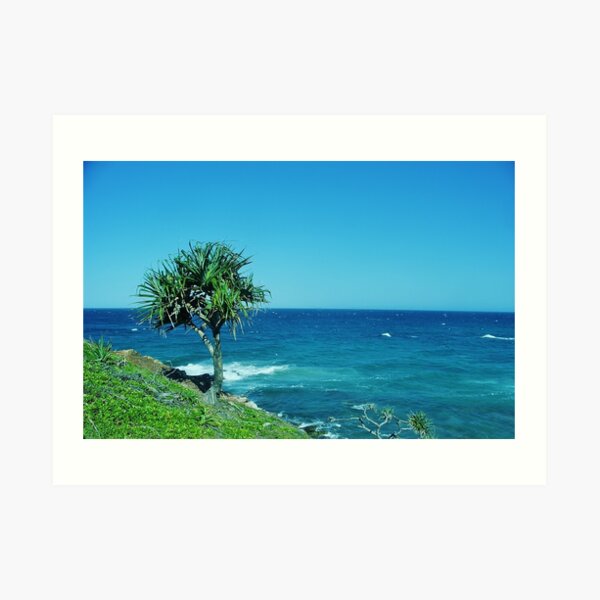 Point Arkwright Pandanus Art Print