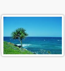 Point Arkwright Pandanus Sticker