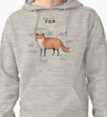 Anatomy of a Fox Pullover Hoodie