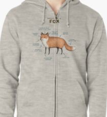 Anatomy of a Fox Zipped Hoodie