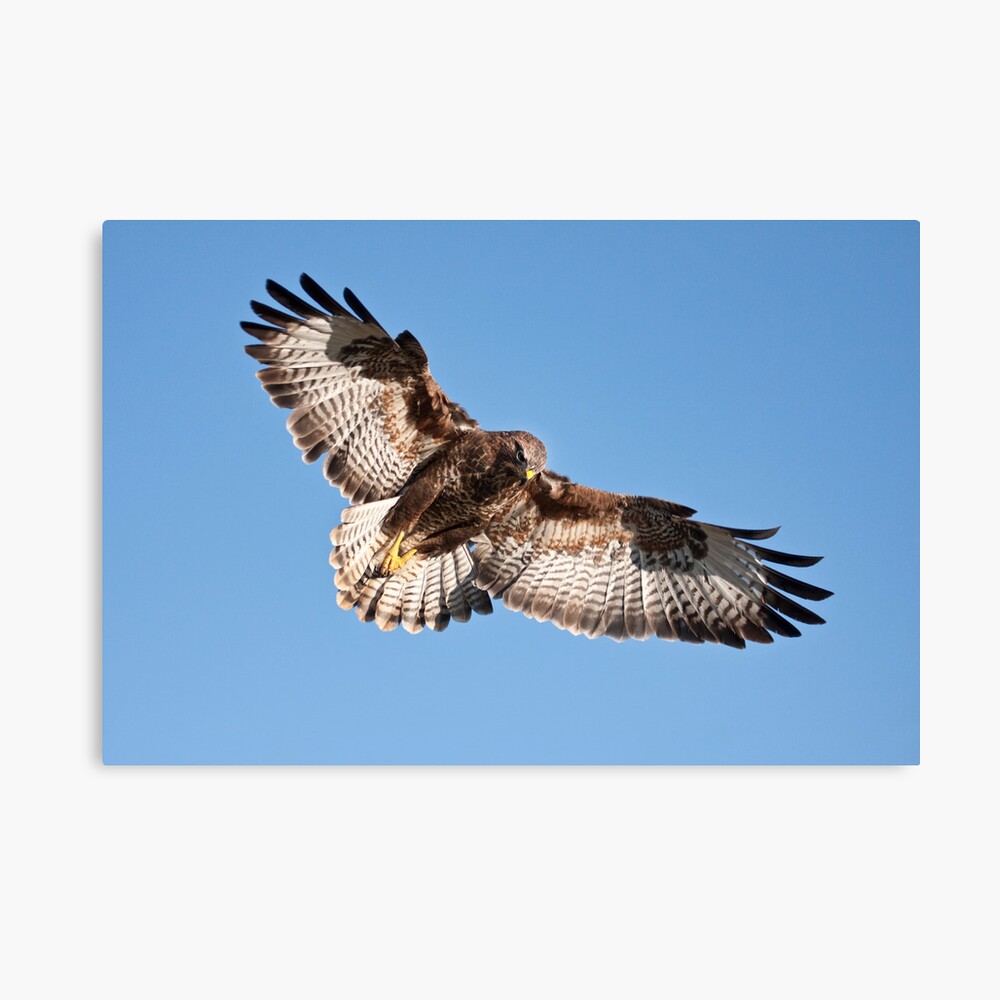 The Hunter Canvas Print