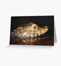 Baby Alligator Greeting Card