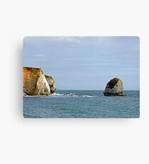 Chalk Cliffs, Freshwater Bay Canvas Print