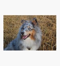 Country Girl Photographic Print