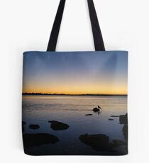 Morning Glide 21-8-2010 Tote Bag