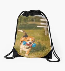 Racing Roxie.... Beautiful Beagle... Drawstring Bag