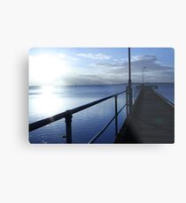 feeling blue Metal Print