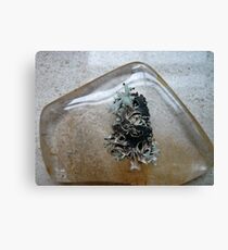 Crystal and Tree Canvas Print