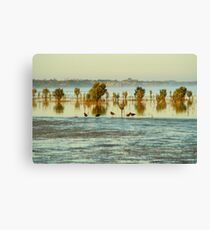 Mangroves Canvas Print