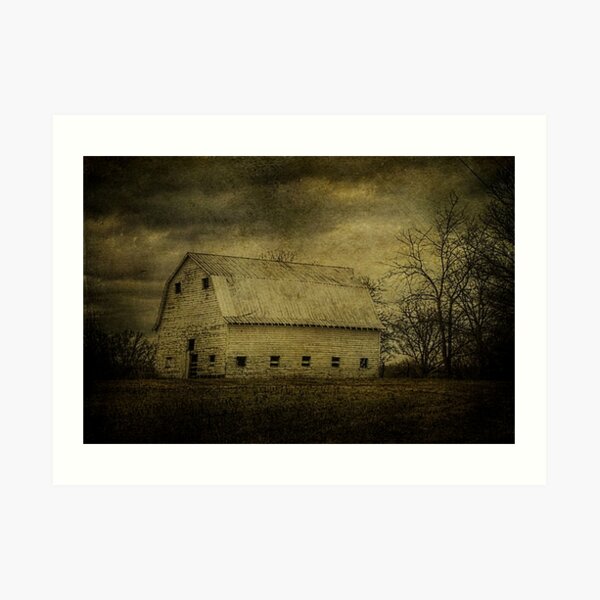 Not Afraid to Tell Her Age Art Print