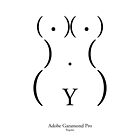 Body Type: Adobe Garamond Pro by Viktor Hertz