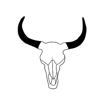 How To Draw Bull Skull - Easy Cow Skull Drawing, HD Png Download - kindpng
