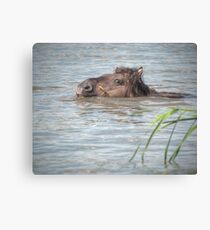 Aquatic Locomotion Canvas Print