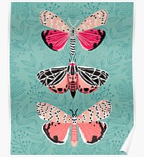 Lepidoptery No. 6 by Andrea Lauren Poster