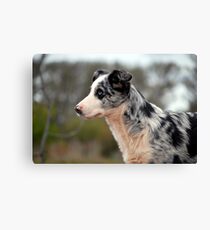 Tina Canvas Print
