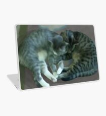 Kittens Laptop Skin