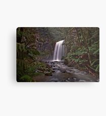 Hopetoun Falls Metal Print