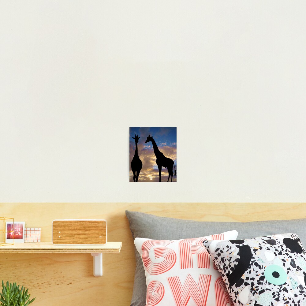 The winner by a neck Photographic Print