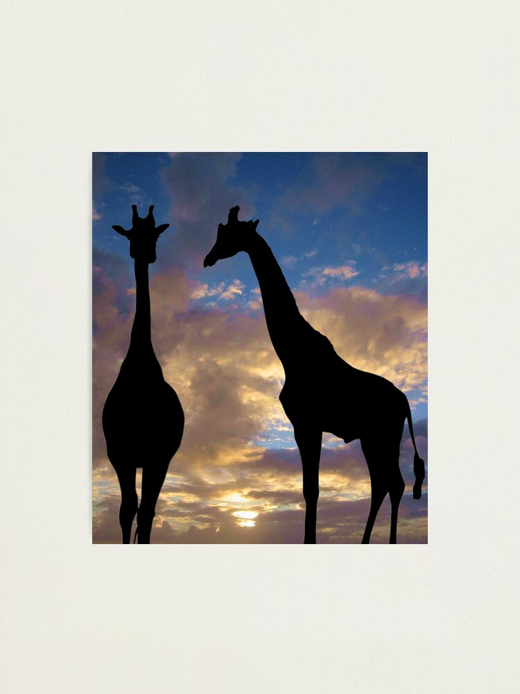 Alternate view of The winner by a neck Photographic Print