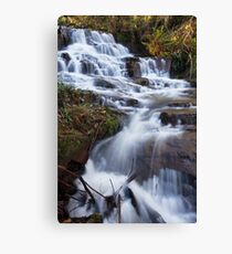 Meyer's Falls, Healesville Canvas Print